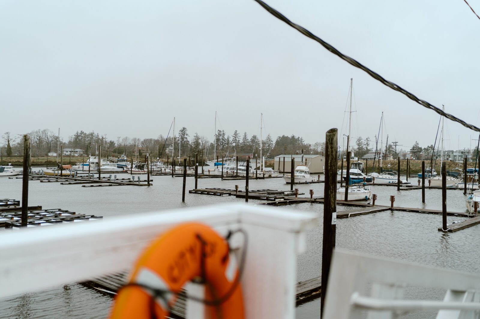 marina with boats